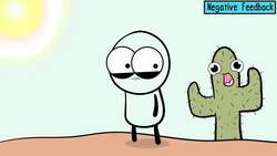 Homeostasis and Negative/Positive Feedback Instructional Video