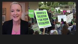 Polls don't support reversing Roe v. Wade, says U.S. legal scholar News Clip