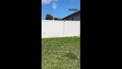 Could growing a 'messy garden’ stunt climate change? News Clip