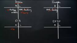 European Bank Recapitalization Instructional Video