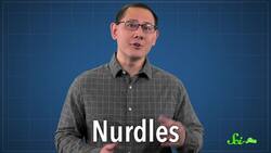 Why You Should Care About the Plastic in Your Poop Instructional Video