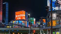 Japan Security Instructional Video