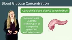 Understanding Homeostasis: Control of Blood Glucose Concentration Instructional Video