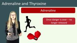 Hormones: Adrenaline and Thyroxine Instructional Video