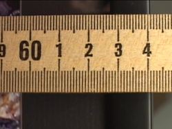 Measuring: Video Assessment Instructional Video