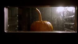 Pumpkin baking in the oven Stock Footage