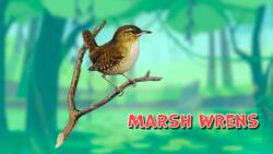 High Five Facts - Marshes Instructional Video