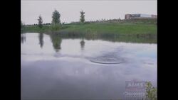 Wave Motion: Periodic Motion Instructional Video