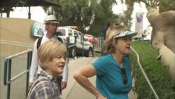 Why Do Zookeepers at the San Diego Zoo Call These Animals ‘Backup Quarterbacks?’ Instructional Video