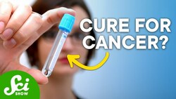 Have We Discovered a Cure for Cancer... on Accident? Instructional Video