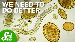 Why Haven’t We Ended These 5 Diseases? Instructional Video