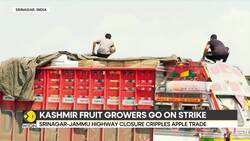 Srinagar-Jammu highway closure cripples apple trade | Wholesale fruit markets shut for 2 days News Clip