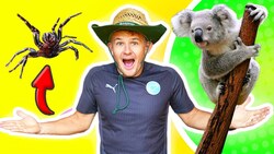This or That Kids Workout: 'Creatures of Australia' edition Instructional Video