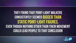 Why You Don't Really Know the Size of a Walrus Instructional Video