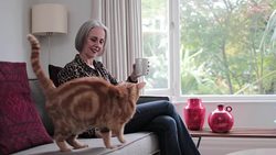 Mature adult female relaxing at home with a cat Stock Footage
