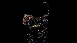 Why Do Cats Refuse to Eat When There's Still Food in the Bowl? Instructional Video