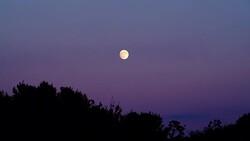 Full moon at night on dark sky Stock Footage