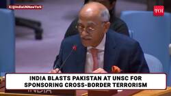 India SHREDS Pak At UNSC; Indian Envoy 'EXPOSES' Asim Munir's Lashkar Connection | Watch News Clip