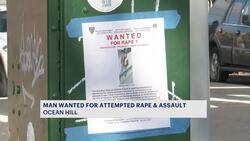 NYPD: Man wanted for attempted rape, assault in Ocean Hill News Clip