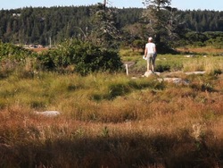 Impacto en la tierra: la tierra es nuestro hogar Instructional Video