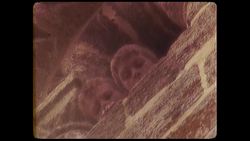 The Ghosts of the Tower of London Instructional Video