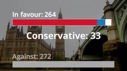 Indicative vote: How MPs narrowly rejected the customs union amendment News Clip