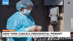 New York Cancels Its Presidential Primary Election News Clip