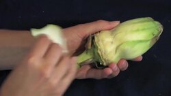 How to Cook Fava Beans Instructional Video