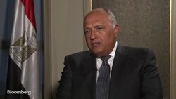 Egypt's Foreign Minister Discusses Middle East Peace Efforts News Clip