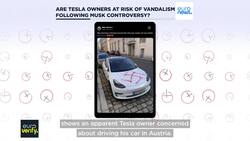 Are Tesla owners at risk of vandalism following Musk controversy? News Clip