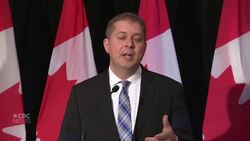 Scheer says every employee has the right to work in a harassment-free workplace News Clip