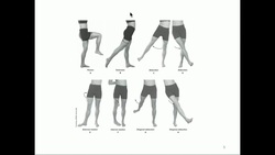 KINE 3135: The Hip Joint Instructional Video