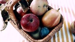 Basket with fruits in sunlight. Stock Footage