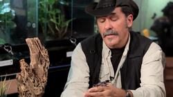 9 Cool Facts & Care Tips for Emperor Scorpions Instructional Video