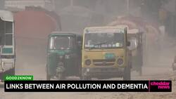 Links Between Air Pollution and Dementia News Clip