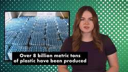 The Plastic Predicament: From Our Oceans to Our Bodies Instructional Video