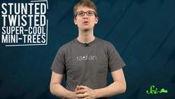 Weird Places Europe's Dancing, Crooked Forests Instructional Video