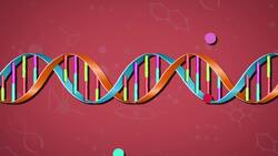 High Five Facts - Molecules Instructional Video