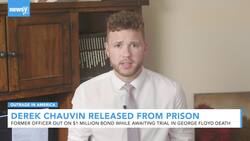 Police Officer Charged In George Floyd's Death Released From Custody News Clip