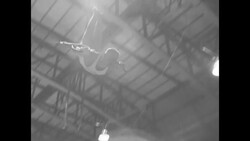 1956 Olympic gymnastics tryouts News Clip