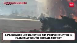 Jeju Air's Final Moments Before Disaster: Viral Clip Shows Fatal Bird Strike Seconds Before Crash News Clip