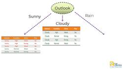 Working principle of Decision Tree Instructional Video