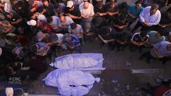 Palestinian Canadians feel ‘betrayed’ by Canadian government, demand more action to end violence in Gaza News Clip