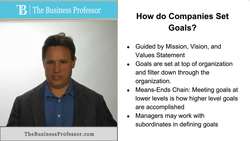 How Do Companies Set Goals Instructional Video