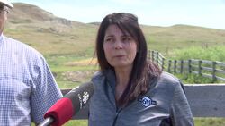 Sask. ranchers say extreme drought could cost them $1M News Clip