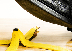 Food chains – What happens next? Instructional Video