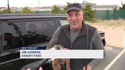 Public warned to keep their dogs away from seals at the Jersey Shore News Clip