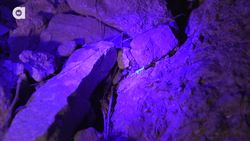 The Deadliest Scorpion in America! (Part 1) Instructional Video