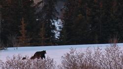 Ecología Instructional Video