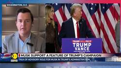 US Election 2024: Big Post For Elon Musk In Trump Administration? News Clip